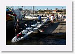 DSC05749_S * 5472 x 3648 * (6.53MB)