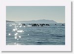 DSC05770_S * 5472 x 3648 * (3.77MB)