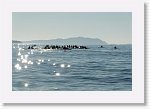 DSC05771_S * 5472 x 3648 * (4.09MB)