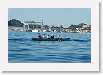 DSC05808_S * 5472 x 3648 * (4.83MB)