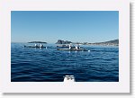 DSC05822_S * 5473 x 3648 * (5.27MB)