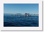 DSC05823_S * 5473 x 3648 * (5.29MB)