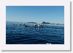 DSC05824_S * 5473 x 3648 * (5.28MB)