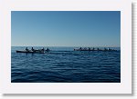DSC05826_S * 5472 x 3648 * (5.12MB)