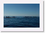 DSC05827_S * 5472 x 3648 * (5.23MB)
