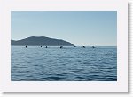 DSC05833_S * 5473 x 3648 * (4.48MB)