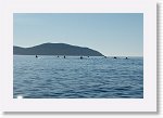 DSC05834_S * 5473 x 3648 * (4.43MB)