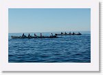 DSC05837_S * 5473 x 3648 * (5.0MB)