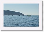 DSC05847_S * 5473 x 3648 * (4.16MB)