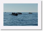 DSC05851_S * 5472 x 3648 * (4.68MB)