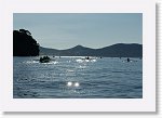 DSC05852_S * 5473 x 3648 * (4.65MB)