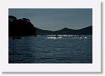 DSC05854_S * 5473 x 3648 * (4.88MB)