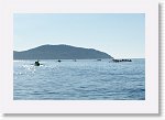 DSC05868_S * 5472 x 3648 * (3.59MB)
