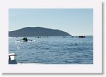 DSC05869_S * 5472 x 3648 * (4.21MB)