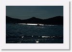 DSC05874_S * 5473 x 3648 * (4.91MB)