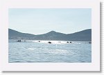 DSC05876_S * 5473 x 3648 * (3.38MB)