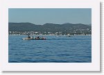 DSC05935_S * 5472 x 3648 * (5.33MB)