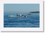 DSC05951_S * 5472 x 3648 * (5.01MB)