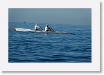 DSC05962_S * 5472 x 3648 * (5.11MB)
