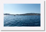 DSC06628_S * 5769 x 3648 * (5.02MB)