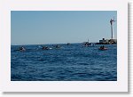DSC06682_S * 5472 x 3648 * (5.54MB)