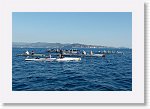 DSC06708_S * 5472 x 3648 * (5.6MB)