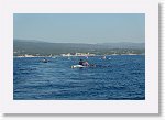 DSC06734_S * 5473 x 3648 * (5.51MB)