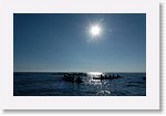 DSC06745_S * 5759 x 3648 * (5.27MB)