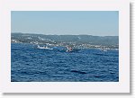 DSC06791_S * 5473 x 3648 * (5.65MB)