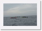 DSC03022_S * 5472 x 3648 * (3.84MB)
