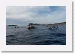 DSC03295_S * 5584 x 3648 * (5.18MB)
